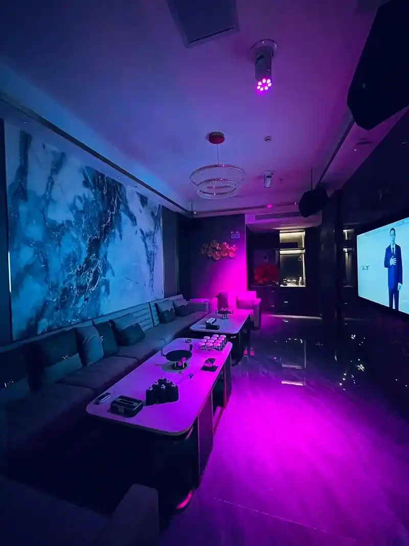 锦州商务KTV解释-北镇市ktv预定